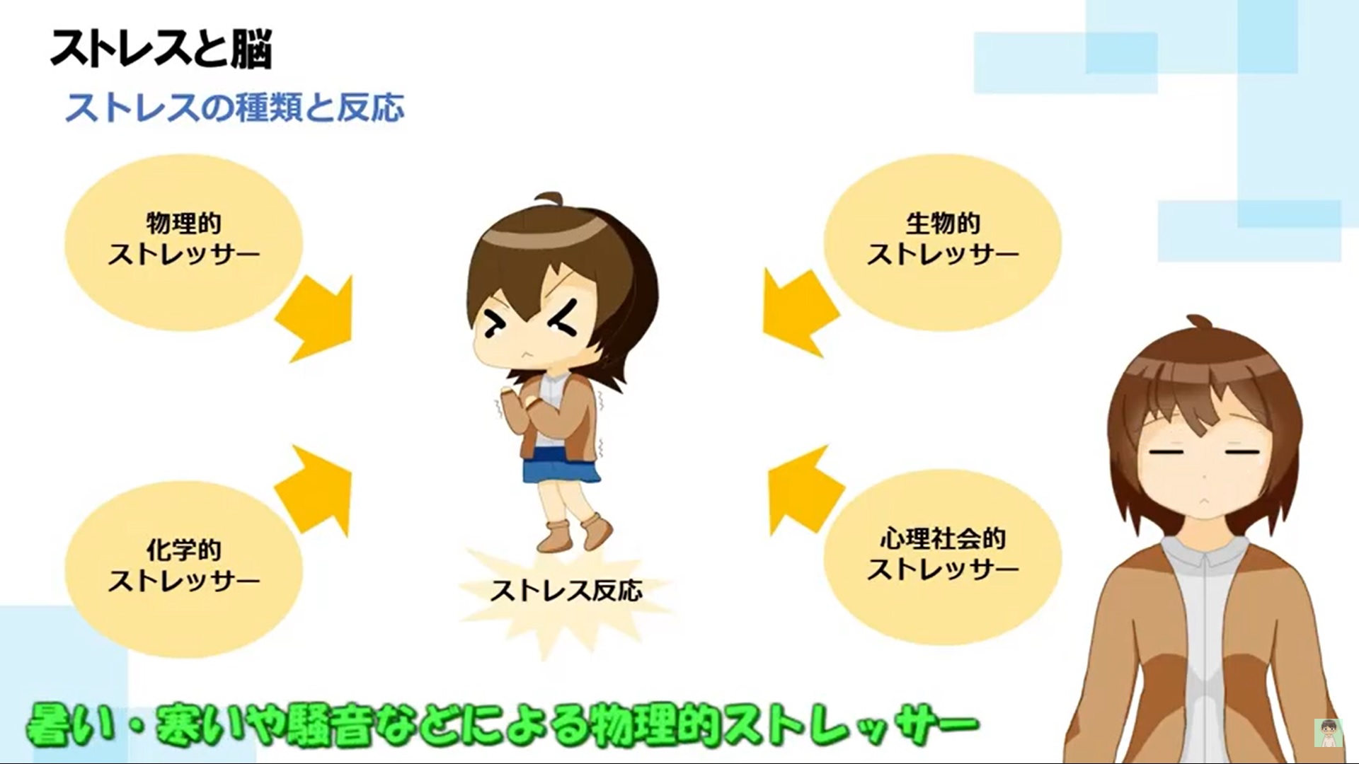 脳内で起きていること2