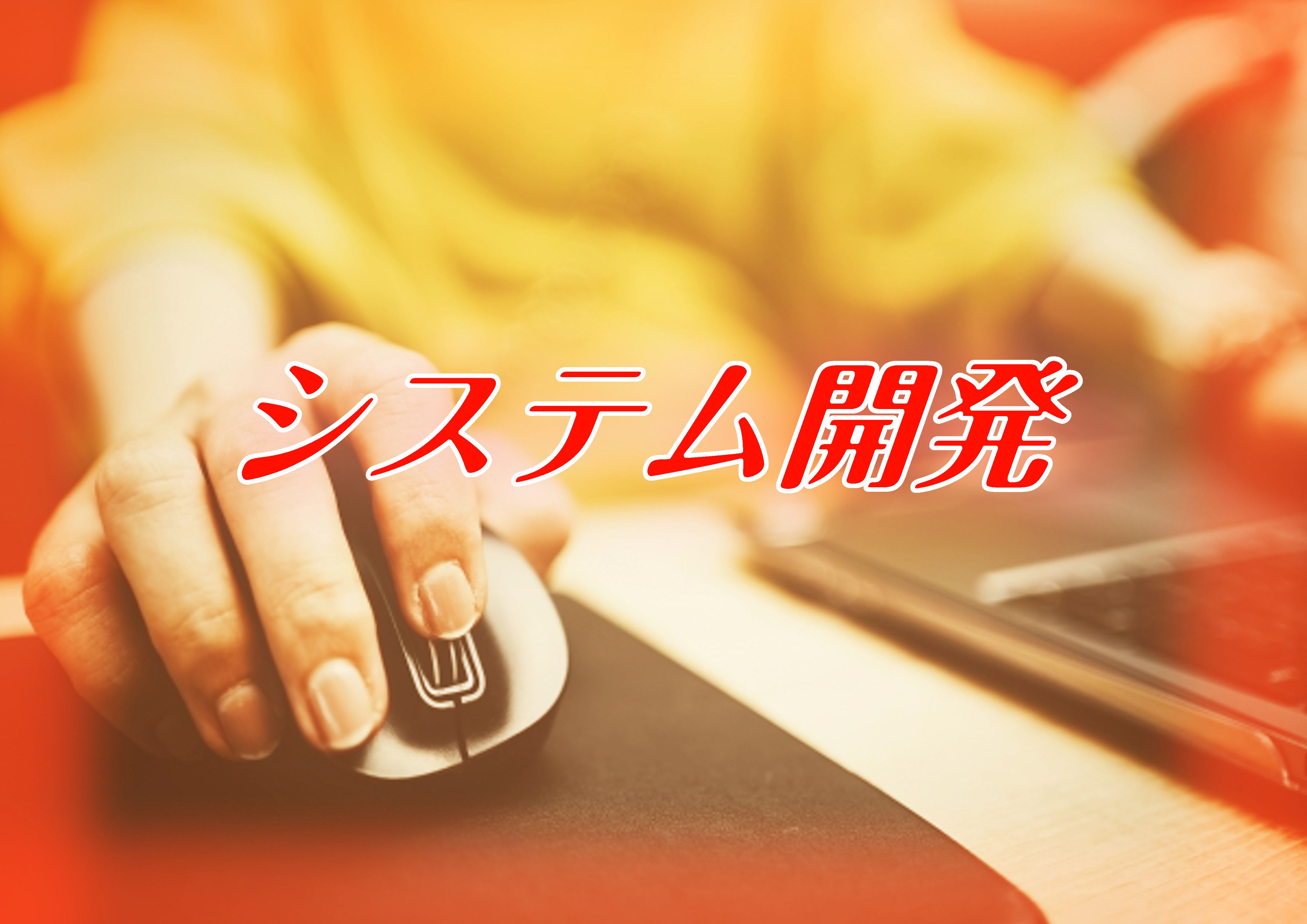 システム開発